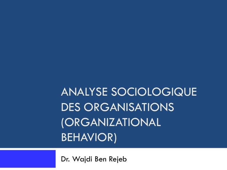 Partie I Cours Analyse Sociologique Des Organisations Organizationa