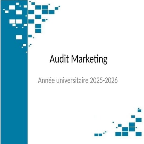 Cours d'Audit Marketing ESTS _2025.pptxX
