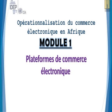 Le E-commerce Opérationnalisation du commerce électronique en Afrique ...