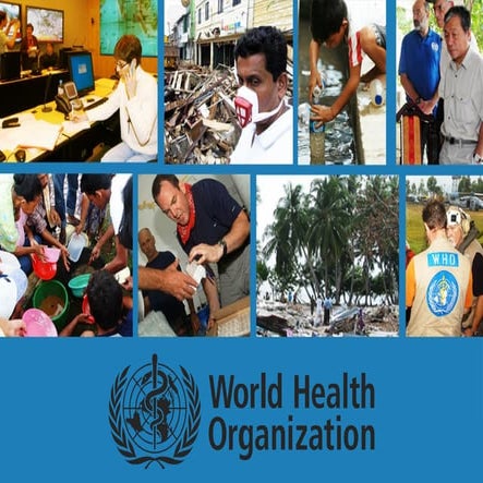 Who prequalification program | PPTX