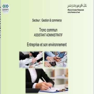 Structure des entreprises LVMH & RICHEMONT | PPTX