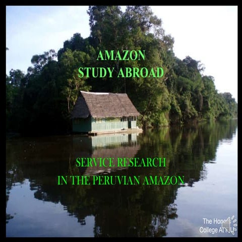 Understanding the Amazon Rainforest and the Extraordinary Role in ...