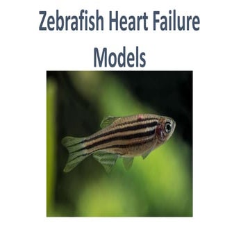 Course Presentation - Aquatic Animal Anatomy.pptx