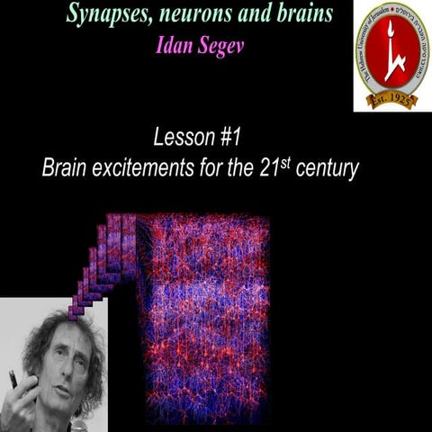 Neuroanatomía presentación sobre el tema