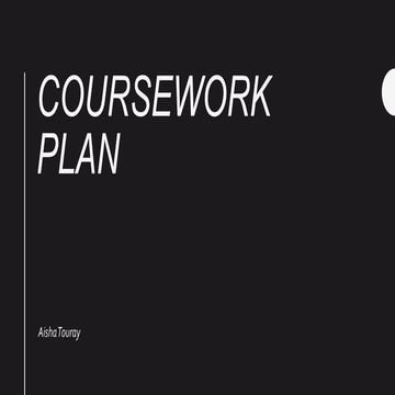 Coursework plan