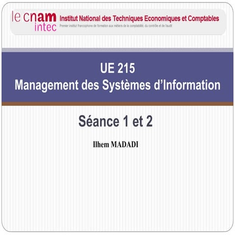 Cours de Management des Systèmes d'information