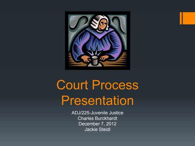 Juvenile Courtroom Process