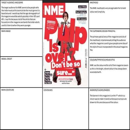 Nme target audience analysis | PPTX
