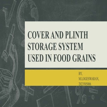 COVER AND PLINTH STORAGE SYSTEM USED IN FOOD.pptx
