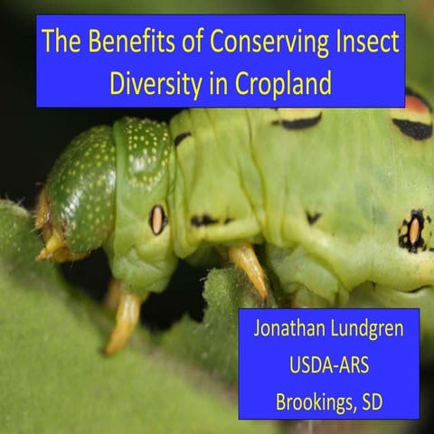 Insect pollinators, their management and role in crop production | PPT
