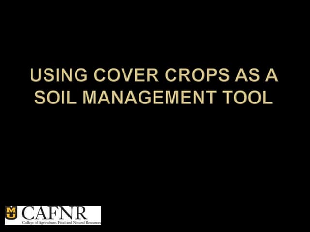 Overview of Cover Crops in Relation to Soil and Nutrients