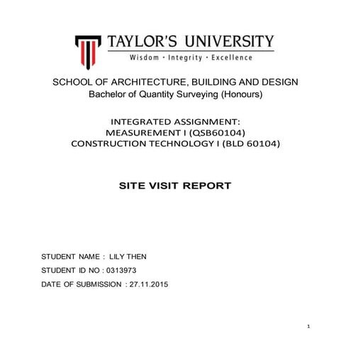 SITE REPORT (PAD FOOTING)