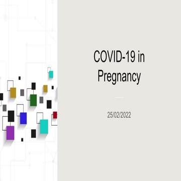 COVID-19 in Pregnancy Annual Perinatal2022 - Copy.pptx