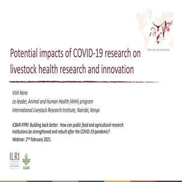 Potential impacts of COVID-19 research on livestock health research and innov...