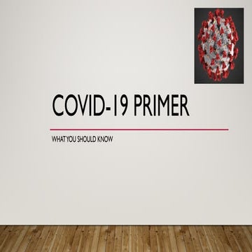 Covid 19 Facts and Updates | DOCX