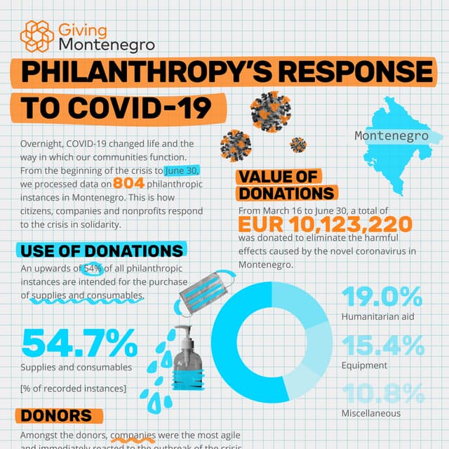Giving Montenegro: Philanthropy's Response to COVID-19 (June, 30)