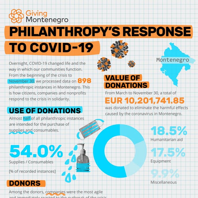 Giving Montenegro: Philanthropy's Response to COVID-19 (November, 30)