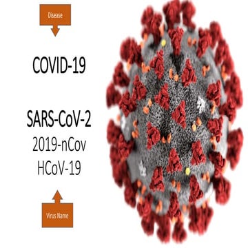 Covid & reproduction