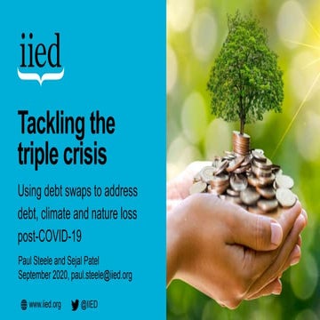 Using debt swaps to address debt, climate and nature loss post-COVID-19 ...