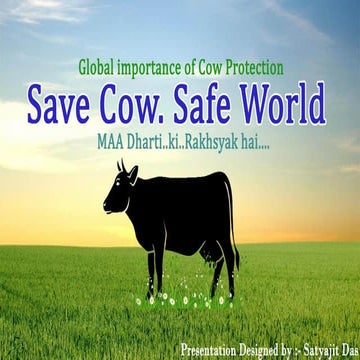 Cow farming Presenting by Satyajit Das | PDF
