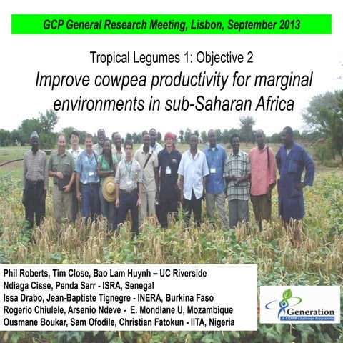 GRM 2013: Improve cowpea productivity for marginal  environments in sub-Sahar...