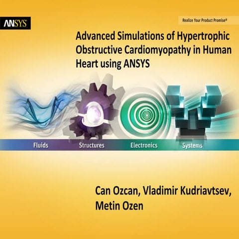 Advanced Simulations of Hypertrophic Obstructive Cardiomyopathy in Human Hear...