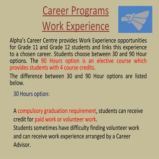 Cp   work experience options powerp...
