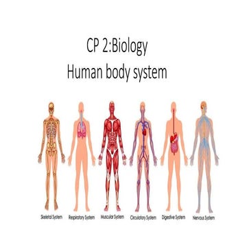 CP 2 HUMAN BODY SYSTEM.pptx lower secondary | PPTX