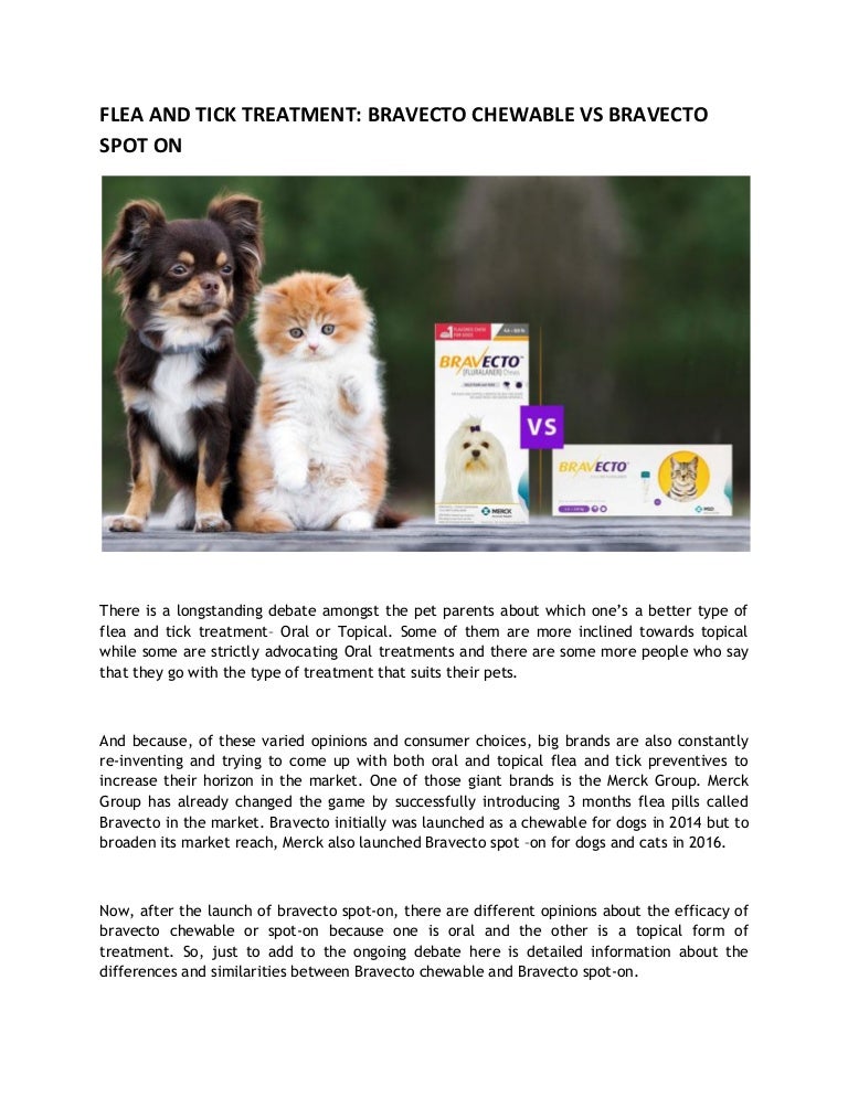 bravecto chewable