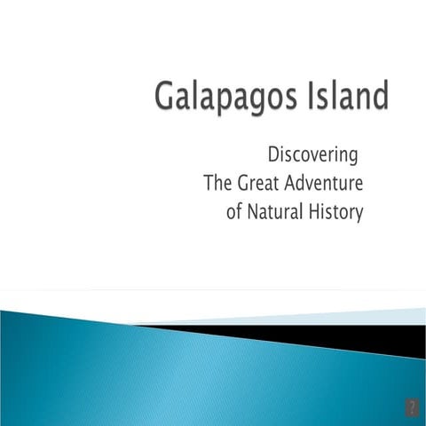 Galapagos Island
