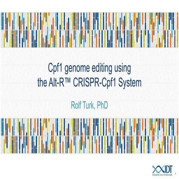 Cpf1-based genome editing using ribonucleoprotein complexes