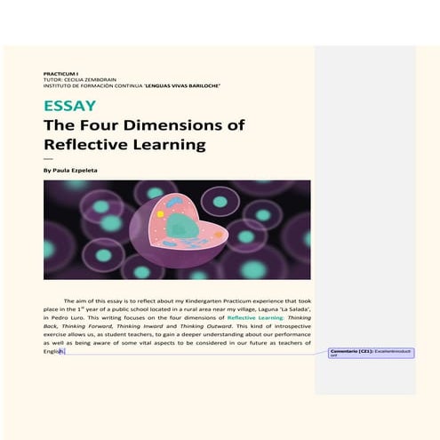 Ezpeleta  reflective essay- upload