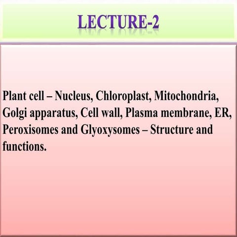 Cphy 161 lec-2 (plant cell)