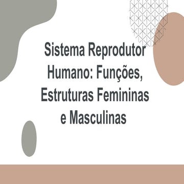 Sistema Reprodutor anatomia e fisiologia enfermagem