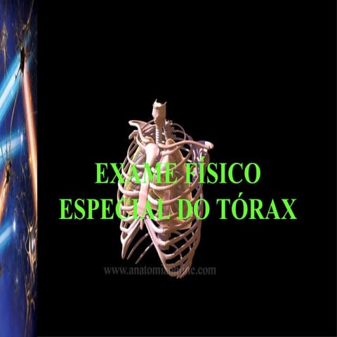 Cópia de semiologia do tórax