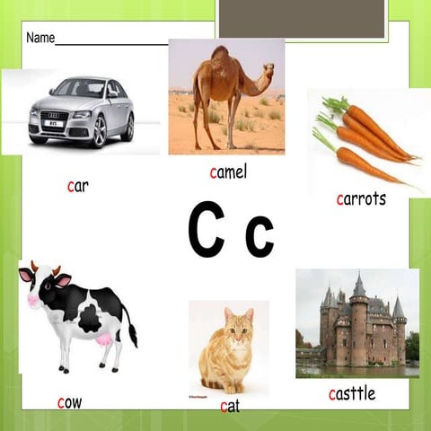 C pictures pp new program