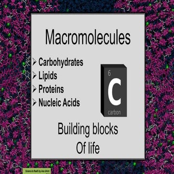 CP macromolecules 2019.pptx