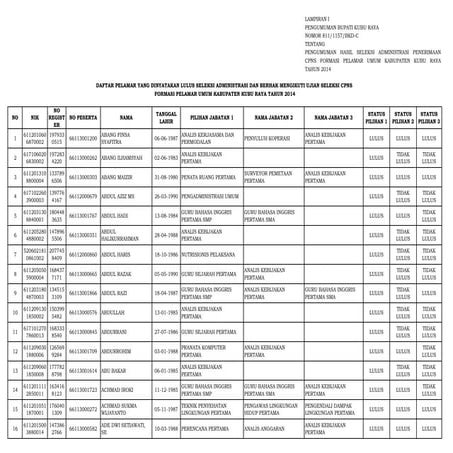 Cpns 2014 lulus administrasi