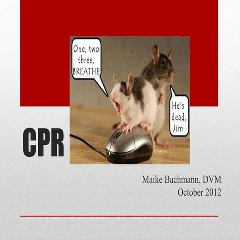 BTEI CPR lecture slides 2012