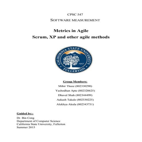 Metrics in Agile: Scrum, XP and other agile methods