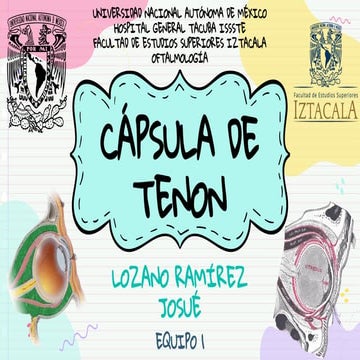 Cápsula De Tenon