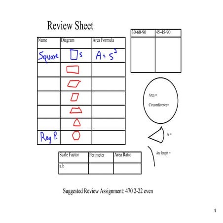 Cpt 11 Review Sheet