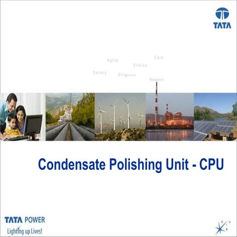 Condensate Polishing Unit - CPU