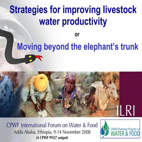 Strategies for improving livestock water productivity or moving beyond the el...