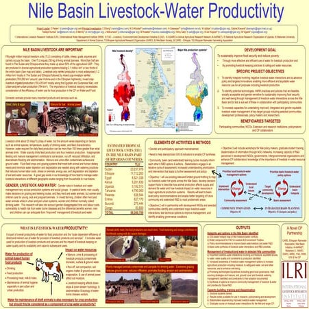 Nile Basin livestock-water productivity