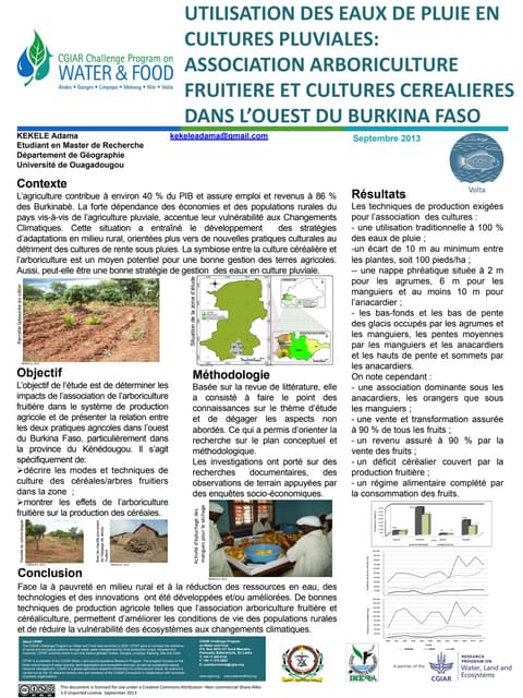 Utilisation Des Eaux De Pluie En Cultures Pluviales: Association Arboriculture Fruitiere Et Cultures Cerealieres Dans L'Ouest Du Burkina Faso