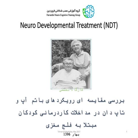 Neuro developmental Treatment (NDT)