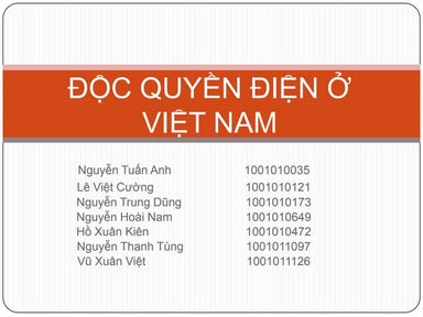 Độc Quyền Điện Ở Việt Nam