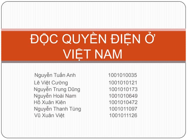 Độc Quyền Điện Ở Việt Nam