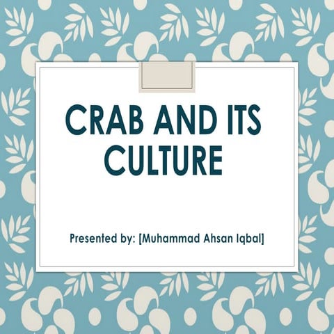 IDM Crack with Internet Download Manager 6.42 Build 41